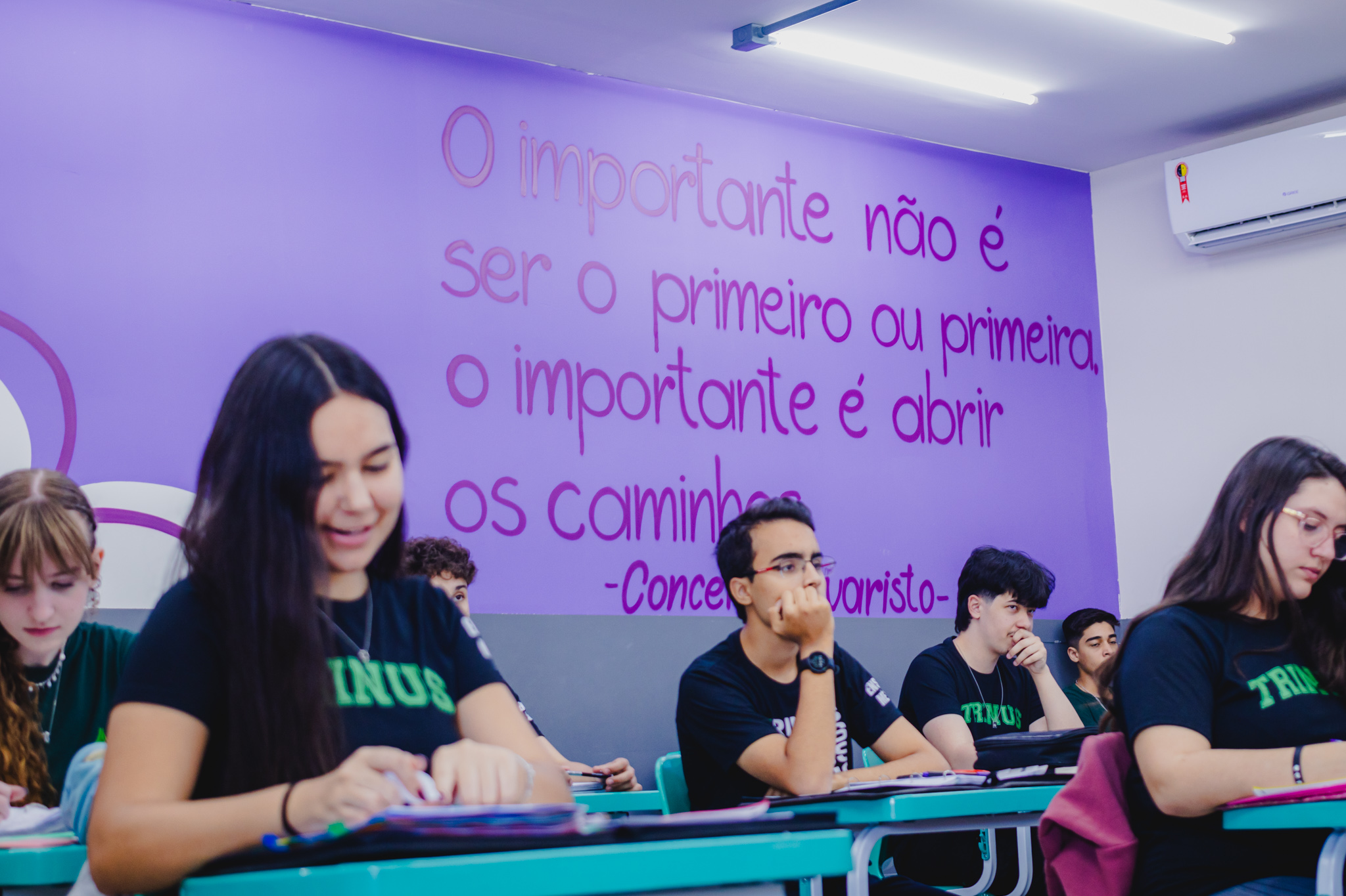 Ensino Médio - Preparação para Vestibular